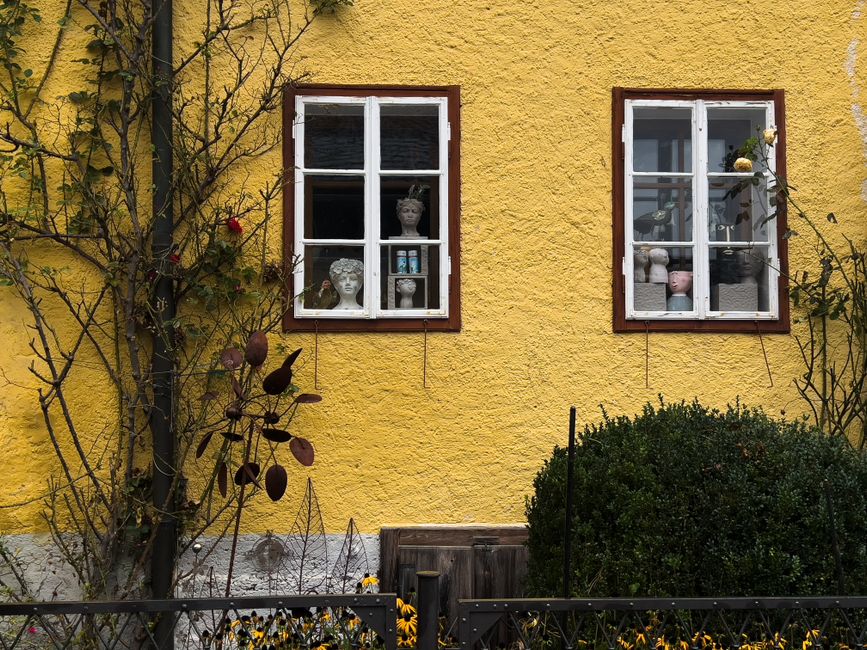 A yellow painted wall with two white framed windows